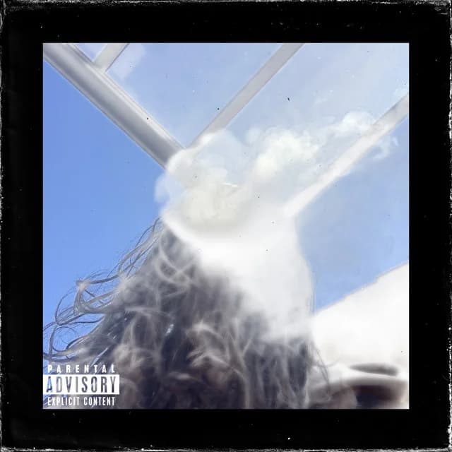 shining cover art